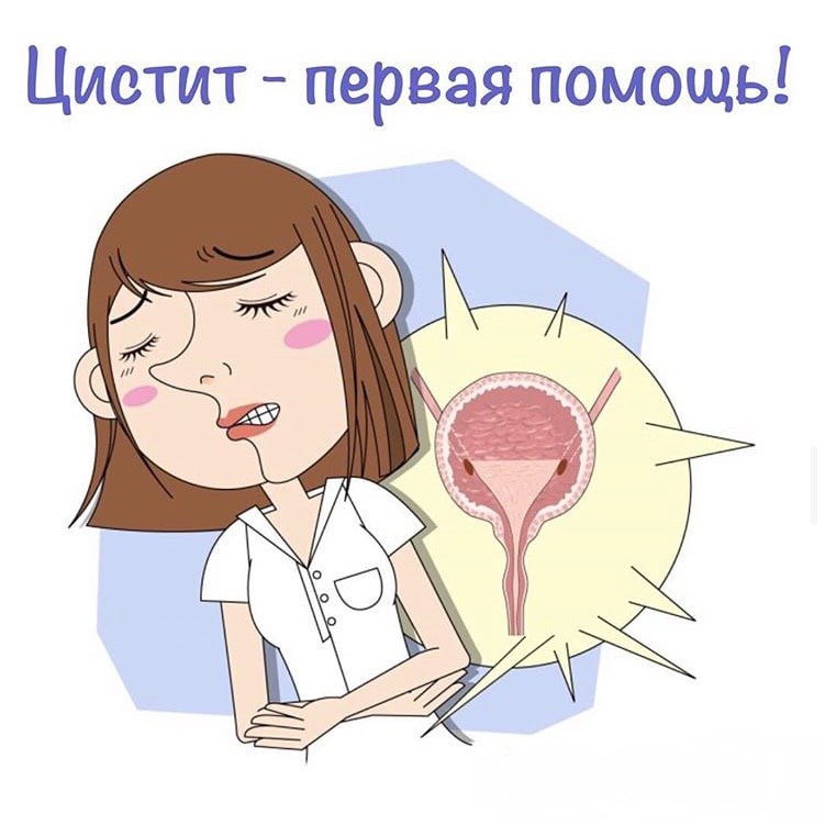 Поздравляю Хамбага с днем рождения! Fandom